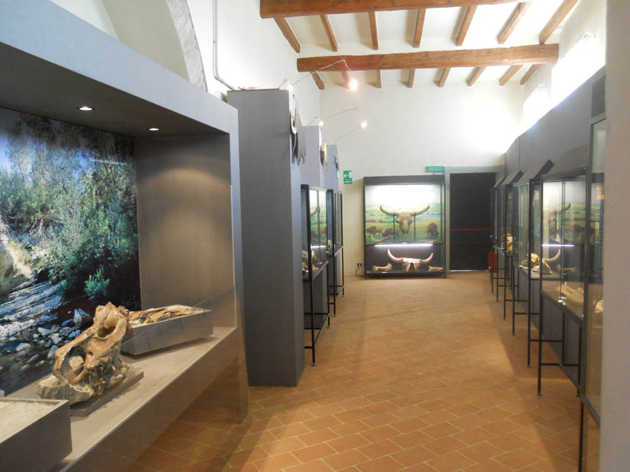 Quaternary room