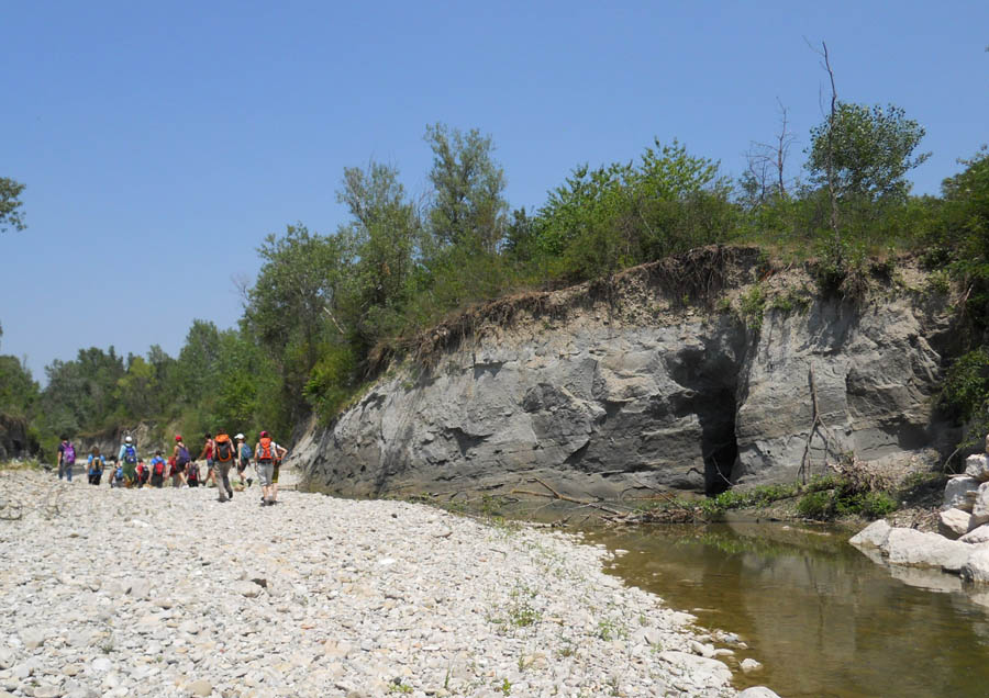 Torrente Arda