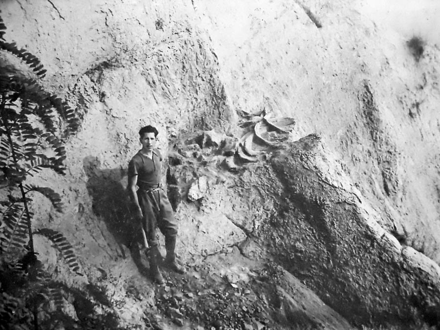 Monte Falcone 1934 1936