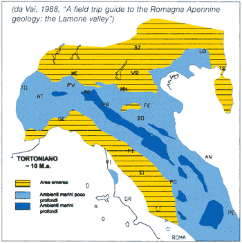 tortoniano