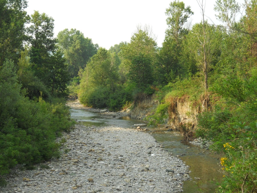 4_torrente_Arda