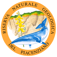 logo-Riserva