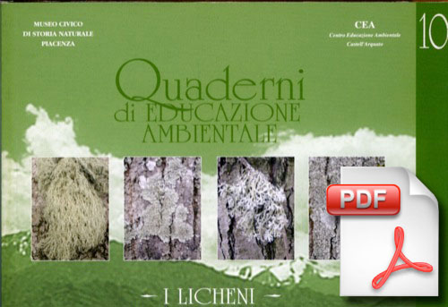 10 licheni